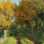 Les Mout'anes Panzió Saint-Hilaire-sur-Helpe
