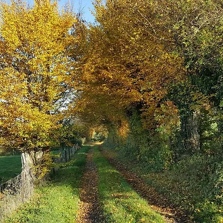 Les Mout'anes Panzió Saint-Hilaire-sur-Helpe