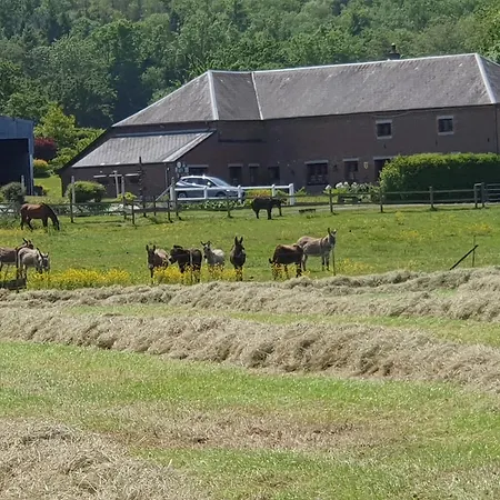 Les Mout'anes * Saint-Hilaire-sur-Helpe