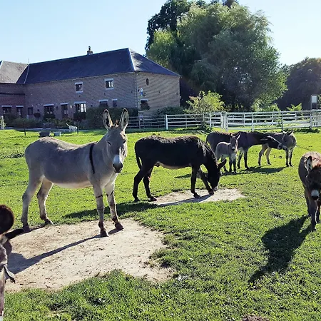 Panzió Les Mout'anes Saint-Hilaire-sur-Helpe
