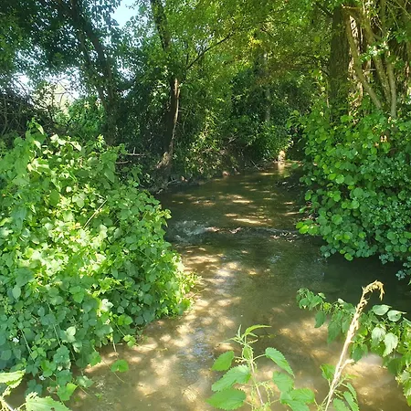 Les Mout'anes Saint-Hilaire-sur-Helpe