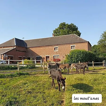 Les Mout'anes Saint-Hilaire-sur-Helpe