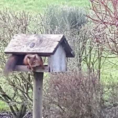 Panzió Les Mout'anes 3*