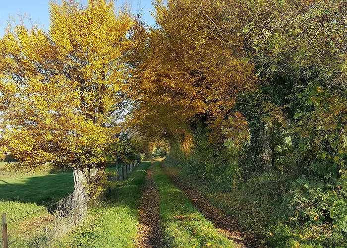 Les Mout'anes Alojamento de Acomodação e Pequeno-almoço Saint-Hilaire-sur-Helpe