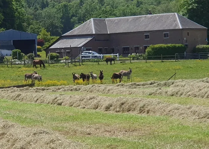 Les Mout'anes 3* Saint-Hilaire-sur-Helpe