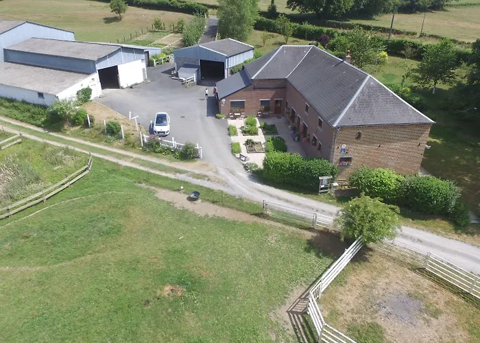 Les Mout'anes Saint-Hilaire-sur-Helpe