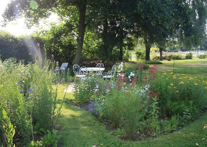 Les Mout'anes Saint-Hilaire-sur-Helpe